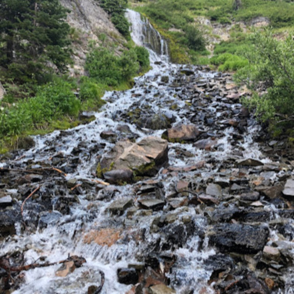 Meet your Posher, Kris - Picture 1 of 1